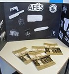 Þemadagar í 8. og 9. bekk