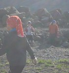 Vorverkadagur 31. maí