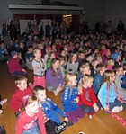 Kötturinn sem fer sínar eigin leiðir