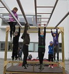 Hreystibrautin