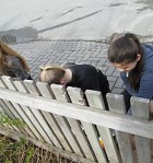 Vorverkadagur 28.maí 2014
