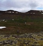 6.HS gengur á Sandfell